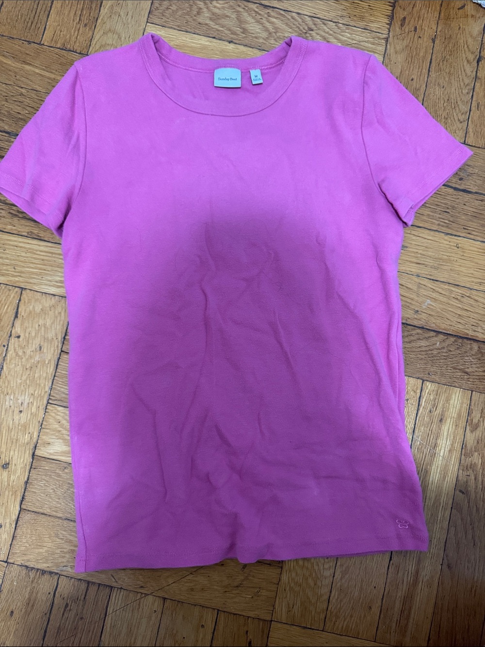 Aritzia Sunday Best Hot Pink Short Sleeve Crewneck Tee